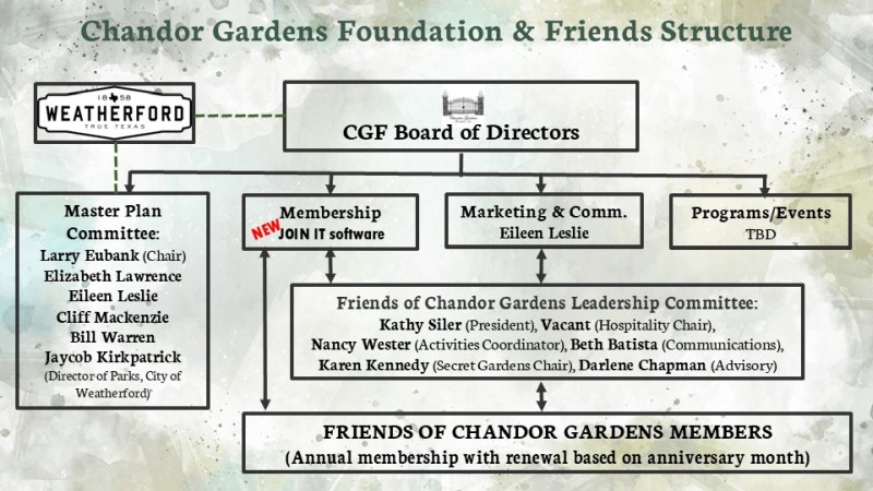 cgf organization chart feb 2025