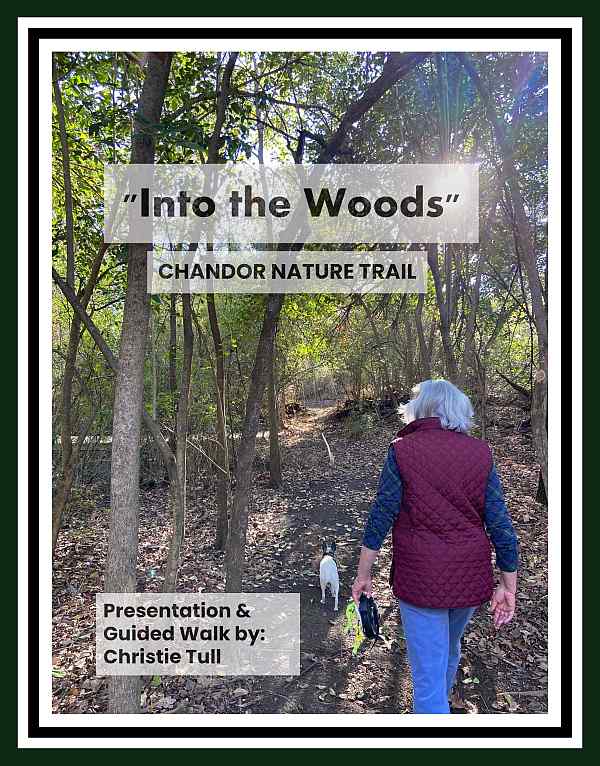 Chandor Nature Trail March 9 2022 w