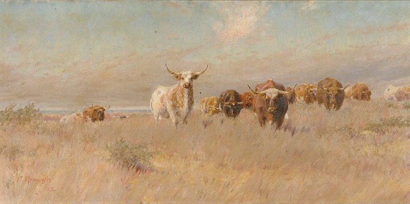 approaching herd frank reaugh w