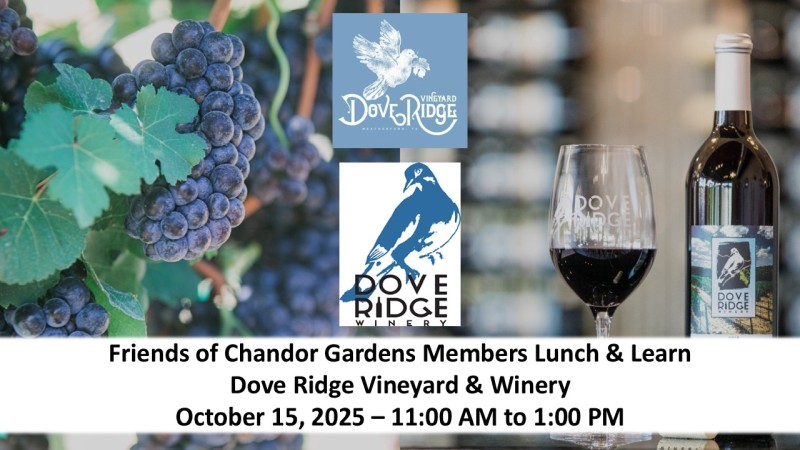 focg tour dove ridge oct 2025 w