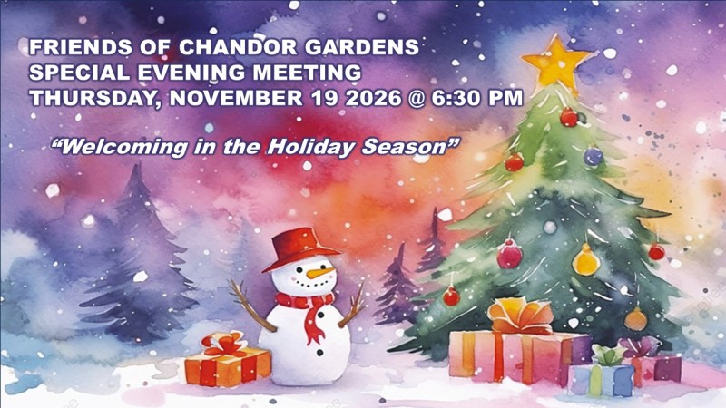 fsg meeting nov19 2026 w